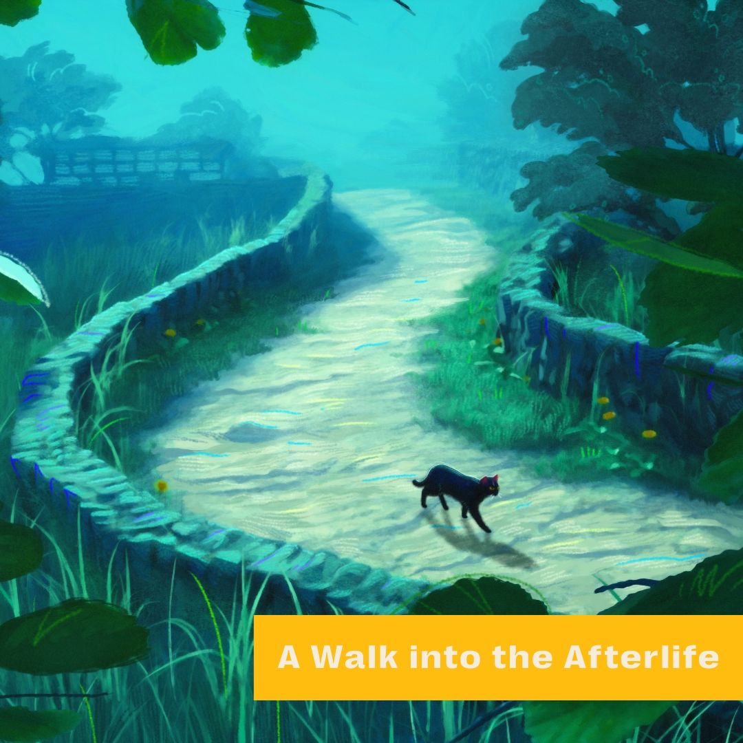 A still from A Walk into the Afterlife